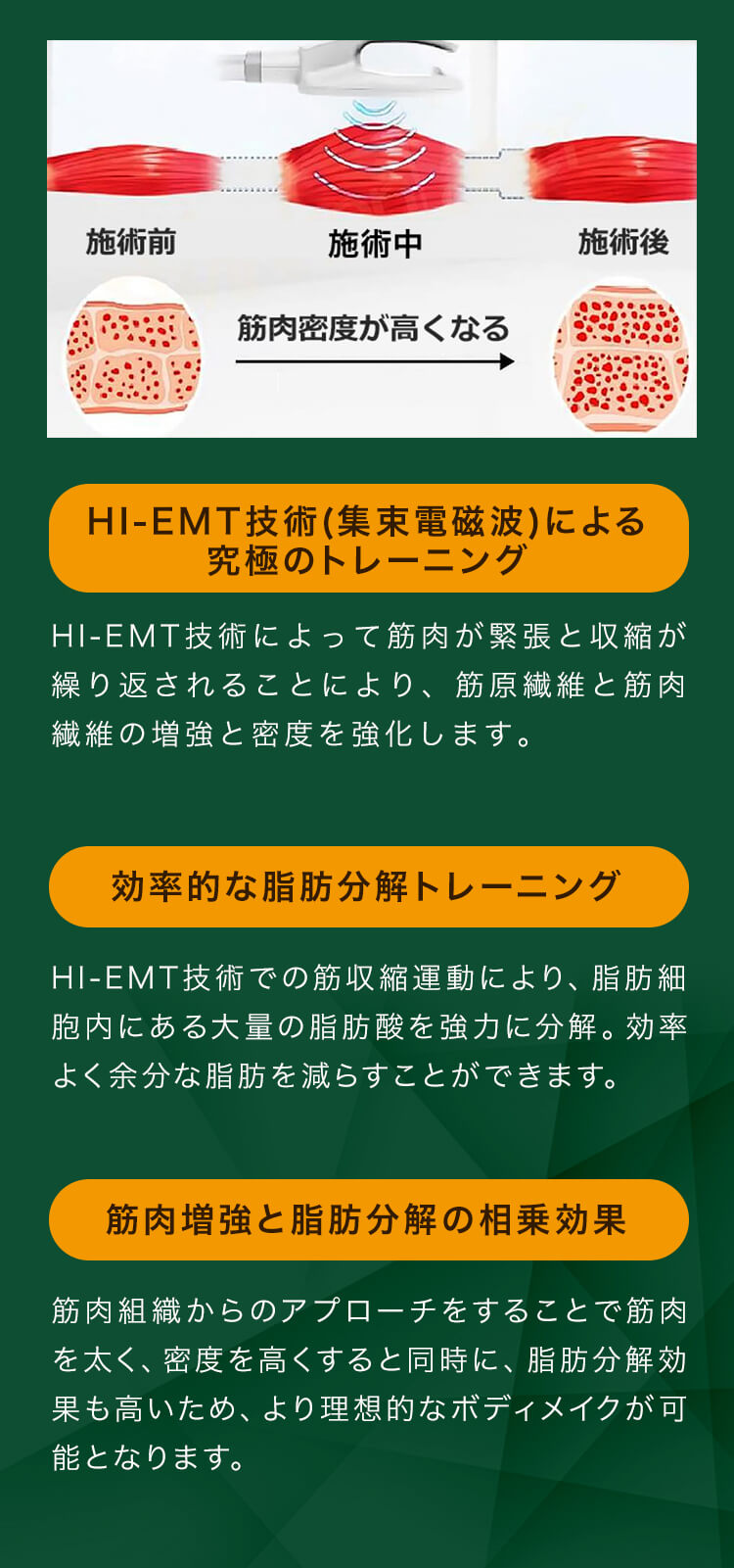 筋⾁増強と脂肪分解の相乗効果