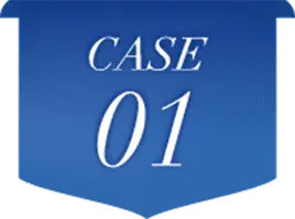 case 01