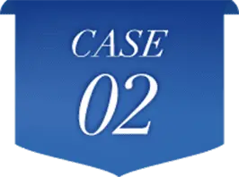 case 02