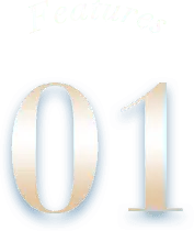 Feature 01