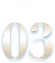 Feature 03