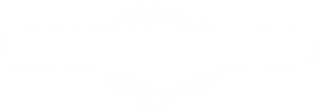 もや