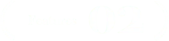 Feature 02