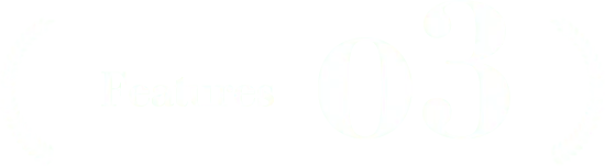 Feature 03