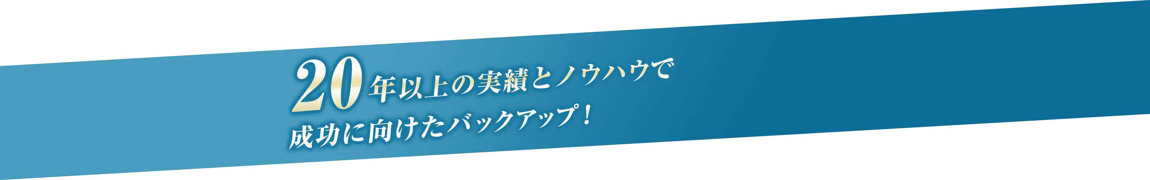 20年以上の実績とノウハウで成功に向けたバックアップ！