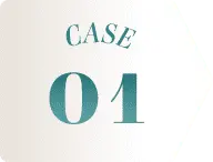 CASE 01