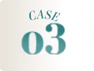CASE 03