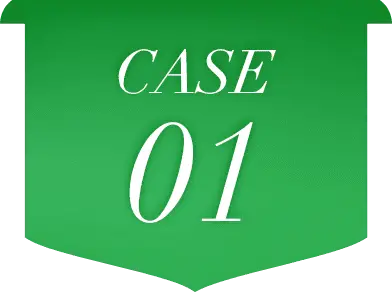 CASE01