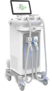電磁パルス痩身機器 マグシェイプ