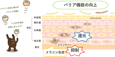 Lily Blanche（リリーブランシュ）全方位型ブライトアップシステム