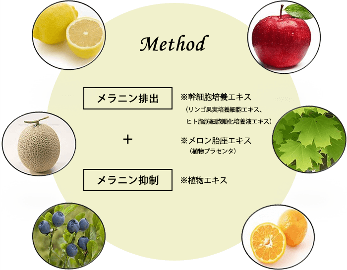 リリーブランシュスキンケアメソッド